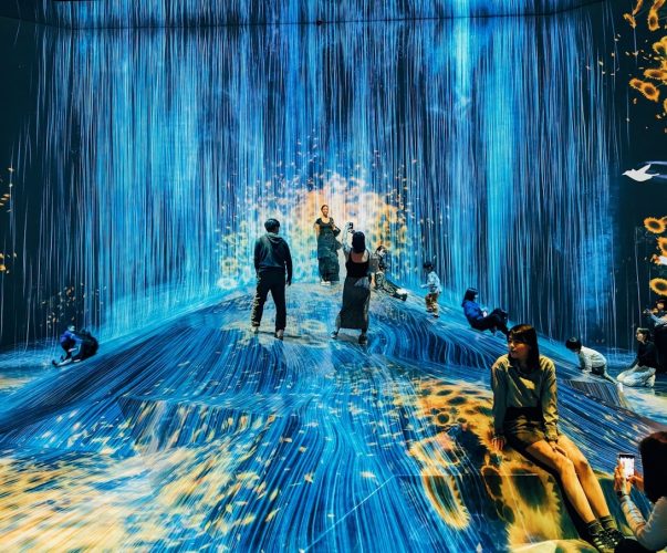 The Evolution of Digital Art Exhibitions in Museums